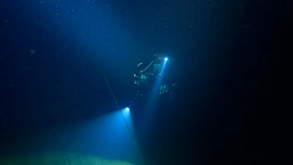 Croisement à Landenouse