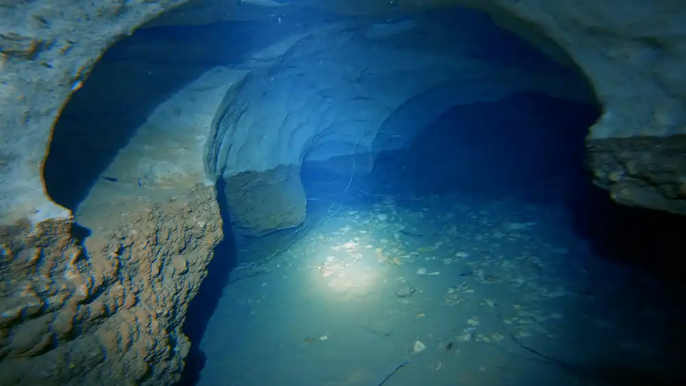 L'impasse des loosers